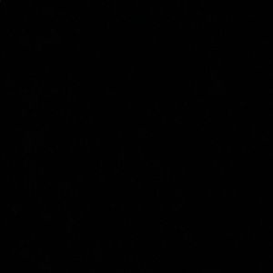 Meet your Posher, Leora